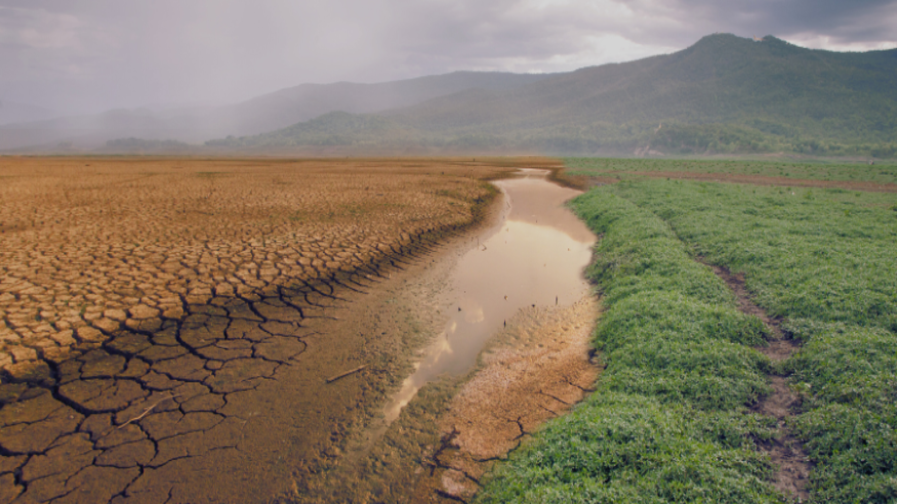 la ONU lanza un aviso urgente sobre la acción climática