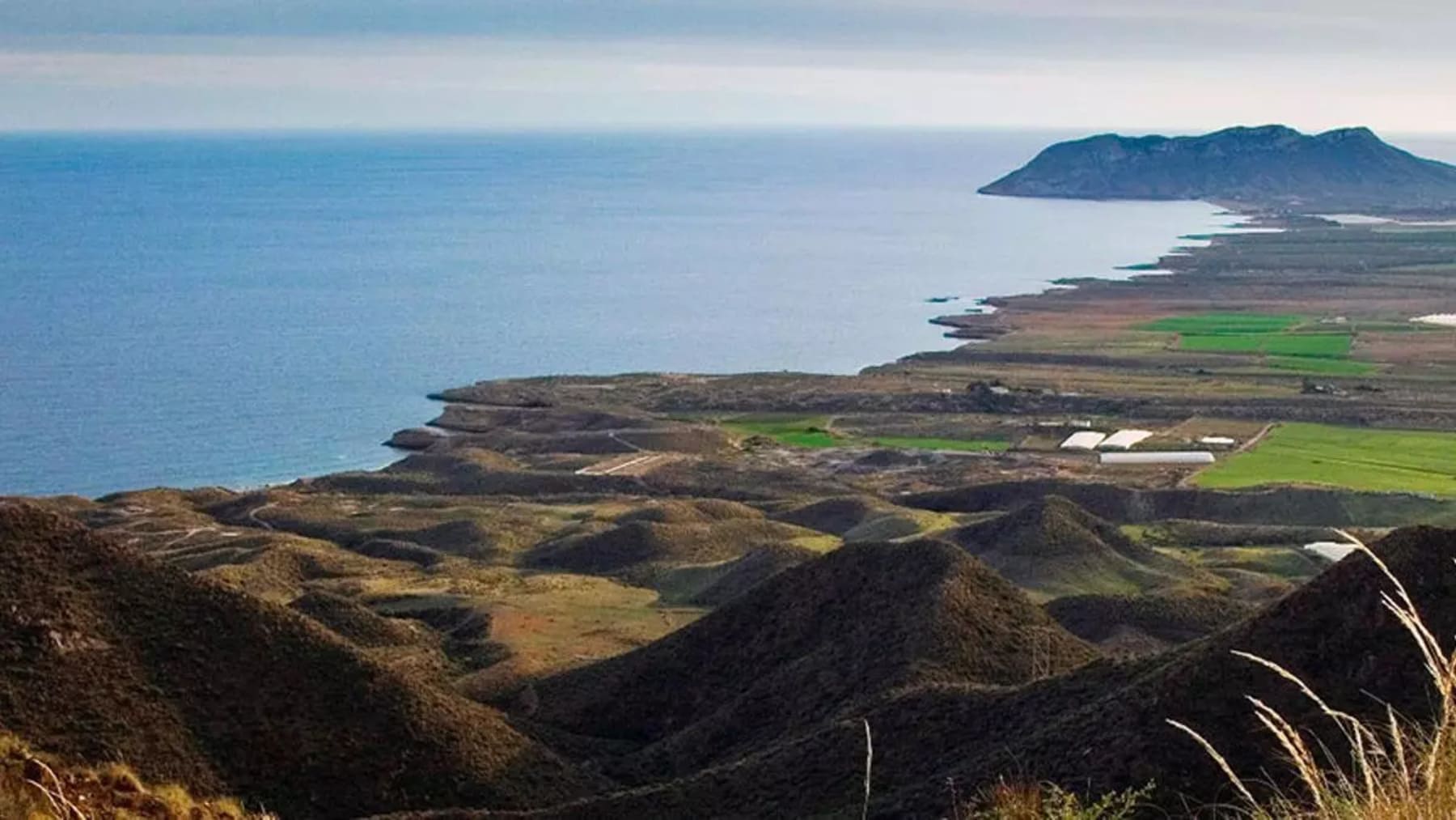 La ZEPA de Cabo Cope confirma un refugio clave para las aves amenazadas tras documentar miles de ejemplares en un importante espacio protegido de Murcia