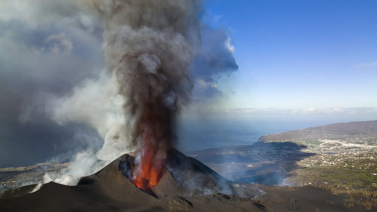 La vida que está naciendo bajo el volcán de La Palma intriga a la ciencia