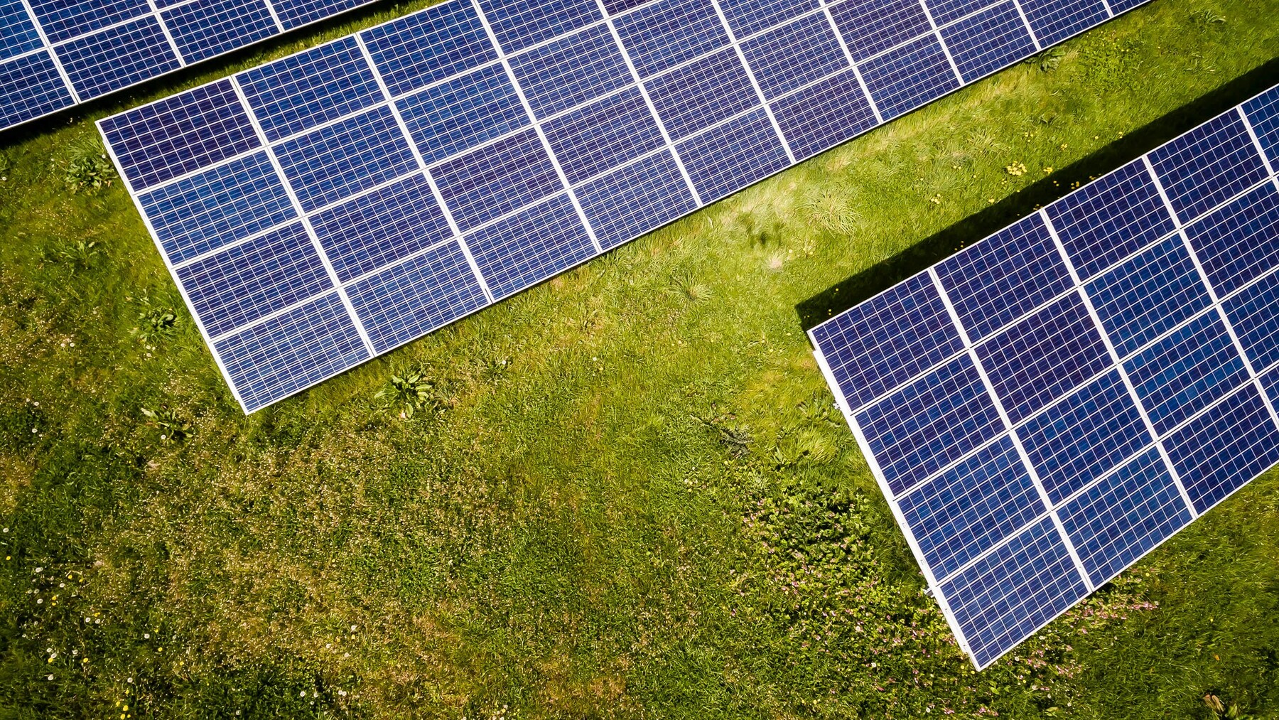 Solaria recurre a los tribunales por sus plantas solares