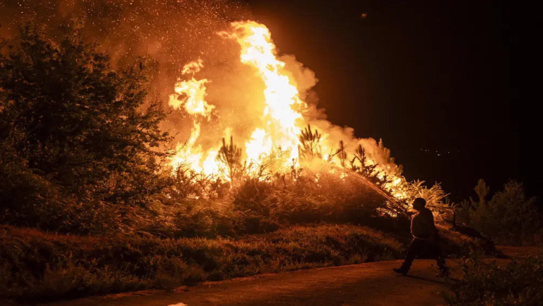 Adega denuncia la falta de restauración tras los incendios