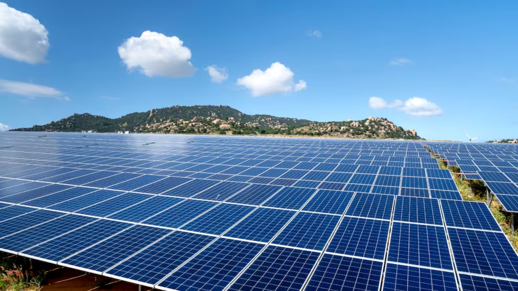 Novelda se moviliza contra las plantas solares en terrenos agrícolas del Vinalopó