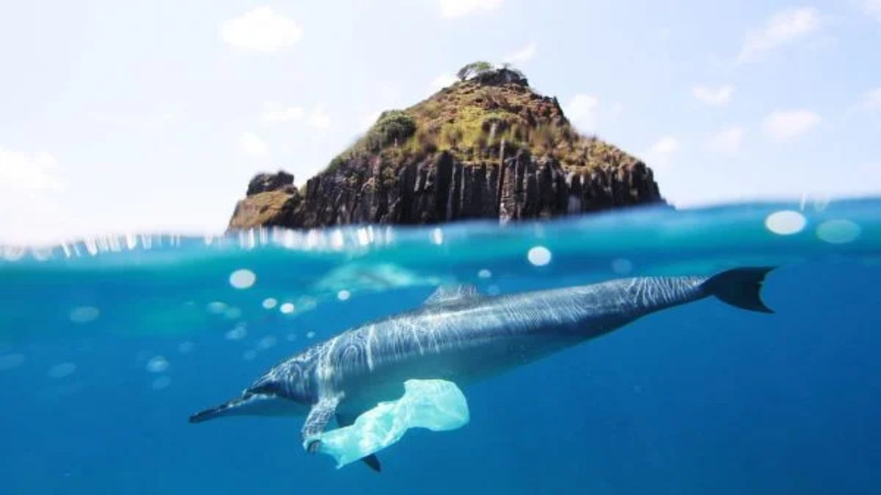 Los océanos entran en una zona de peligro global por el calentamiento y la pérdida de biodiversidad