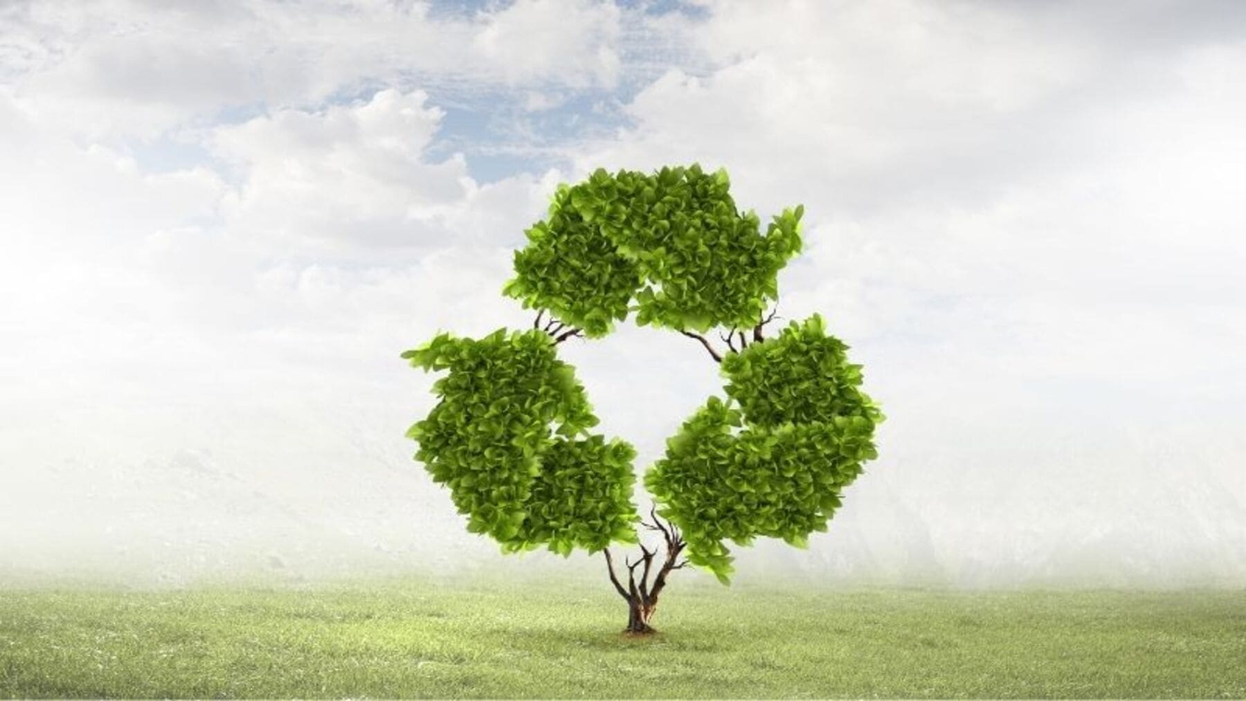 Cantabria impulsa la economía circular con los Premios MARE durante una jornada de innovación y sostenibilidad