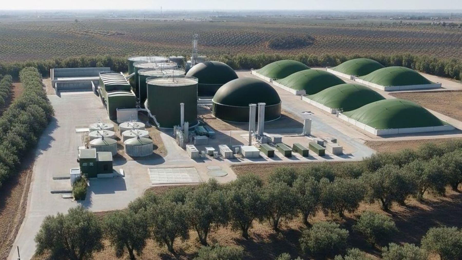 Planta de biometano rodeada de olivares que transformará residuos del olivar en energía renovable en Baena (Córdoba)