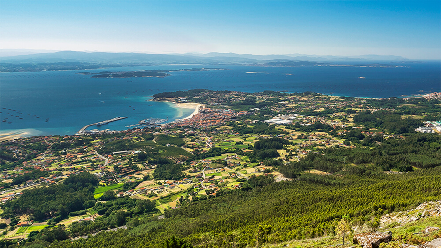 descubren una criatura marina nunca vista viva en aguas de Galicia durante una investigación científica
