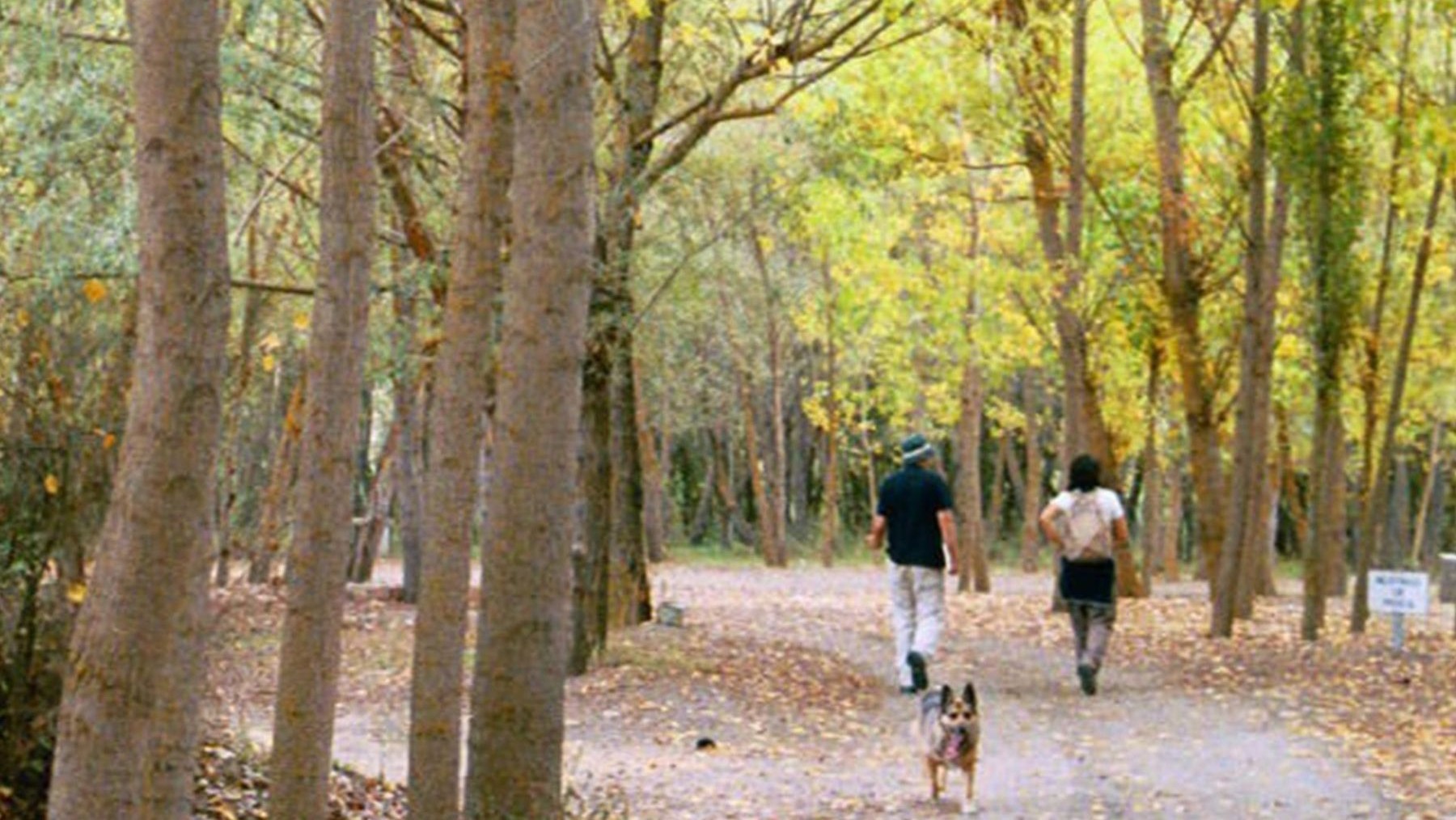ANSAR pide reforzar la Unidad Verde de Zaragoza para mejorar la conservación de la biodiversidad municipal.