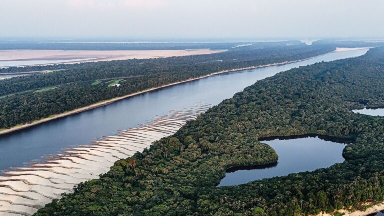 Inditex destina 6,5 millones para proteger la Amazonia