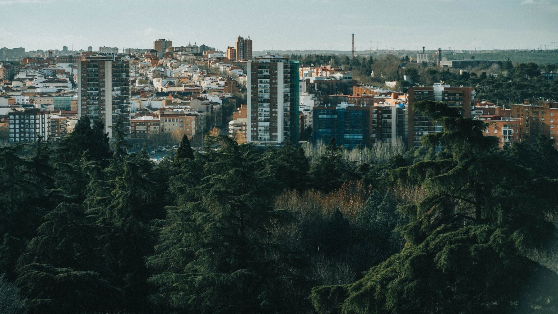Los bosques urbanos son infraestructuras críticas para combatir el cambio climático