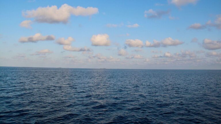 La temperatura del mar bate un récord histórico y preocupa a los científicos