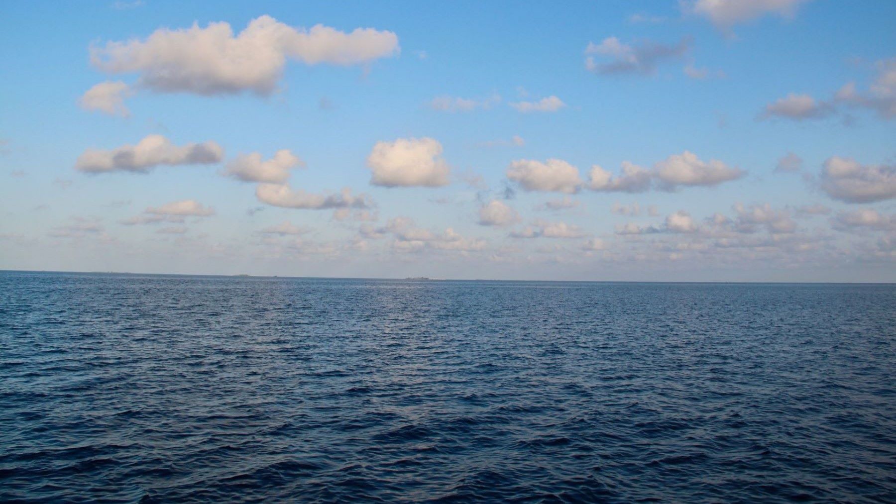 La temperatura del mar bate un récord histórico y preocupa a los científicos