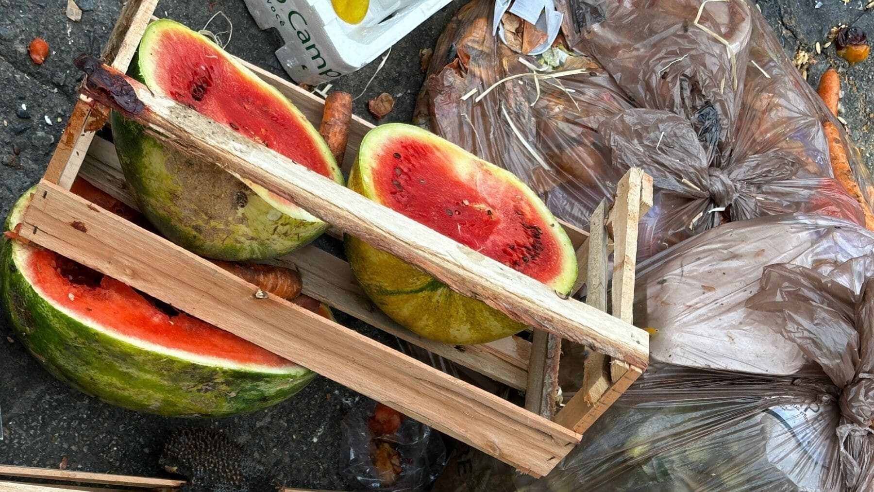 Día Internacional de Concienciación sobre la Pérdida y el Desperdicio de Alimentos 2026