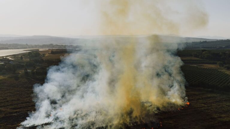 El humo de los incendios forestales amenaza la salud mucho más de lo que imaginas.