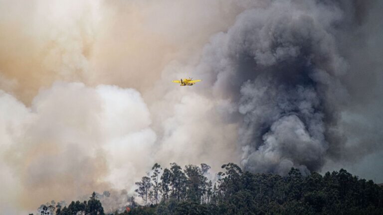 El humo de los incendios es el mayor riesgo para la salud durante un incendio forestal.