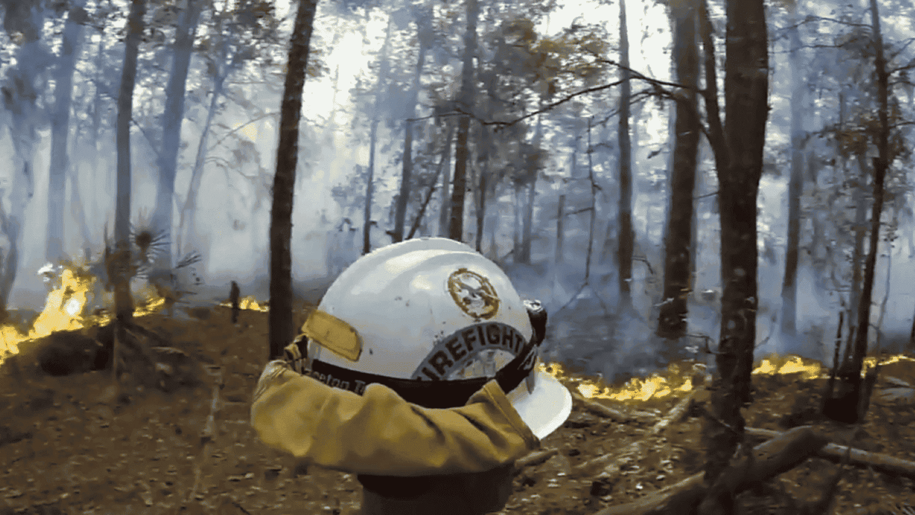 Un incendio arrasa casi 2.000 hectáreas en los Everglades de Florida