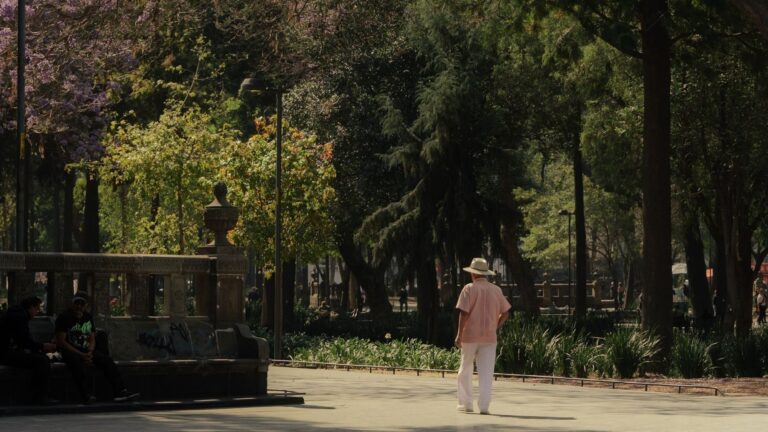 los refugios climáticos son la mejor protección frente a las olas de calor urbanas