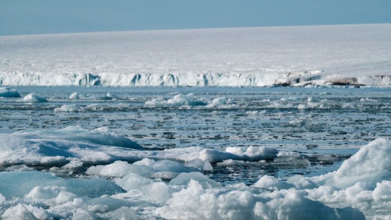 El deshielo dispara la contaminación por mercurio en la Antártida debido al retroceso acelerado de los glaciares.