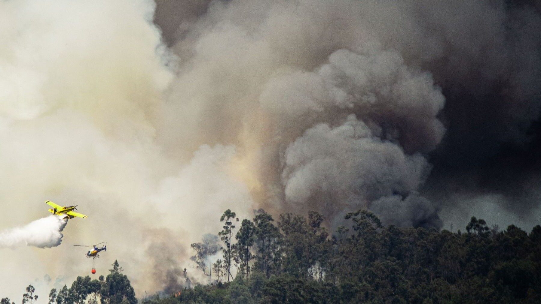 Los incendios forestales arrasan más de 46.700 hectáreas en España