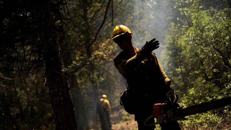 Los bulos sobre los incendios forestales dificultan la prevención y la gestión