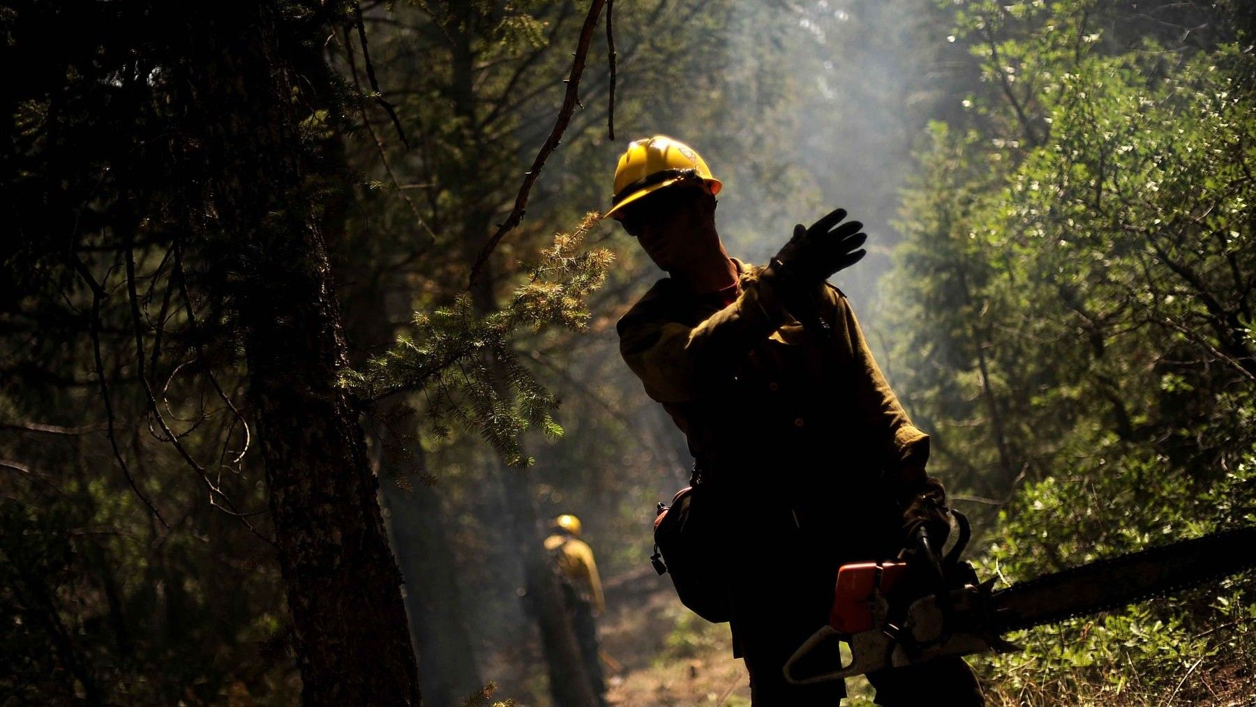 Los bulos sobre los incendios forestales dificultan la prevención y la gestión