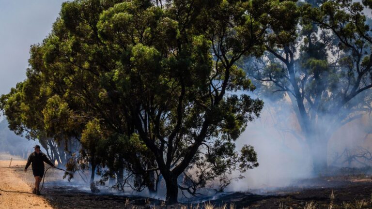 la ola de calor se despide, pero el riesgo de incendios sigue.