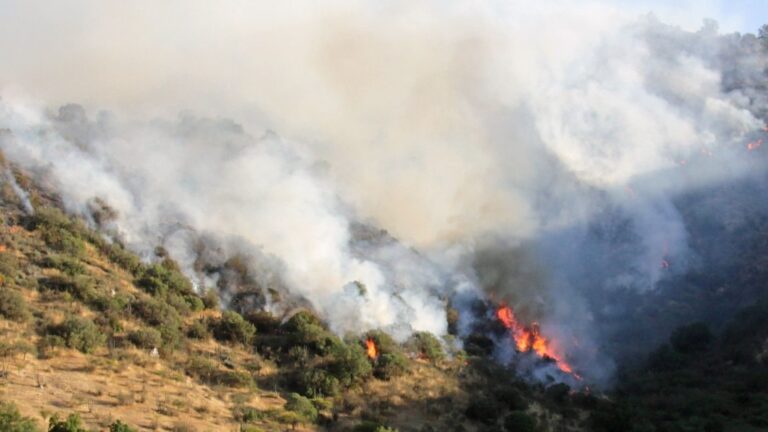 Gran columna de humo sobre la Sierra Norte de Guadalajara.