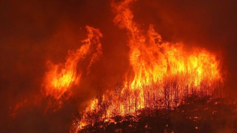Greenpeace pide un pacto de Estado contra los incendios forestales
