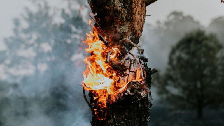 Greenpeace exige un Pacto de Estado por el clima
