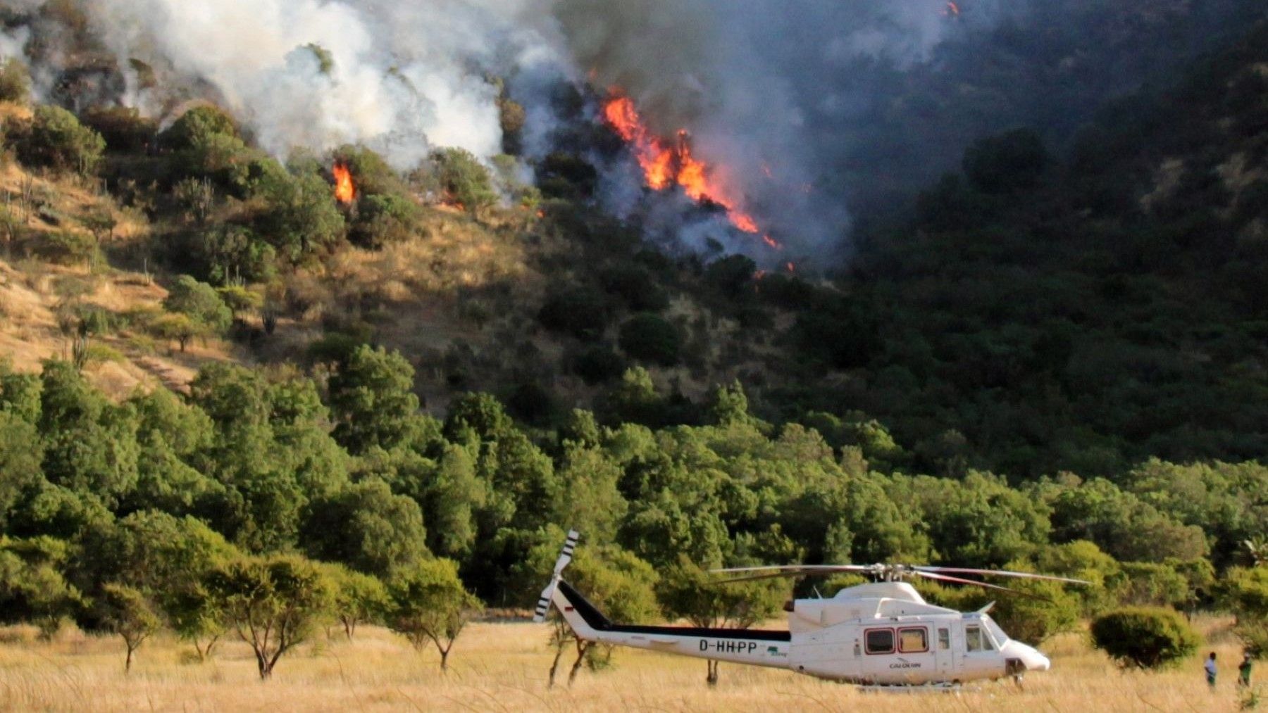 Greenpeace pide un pacto ibérico contra los grandes incendios forestales