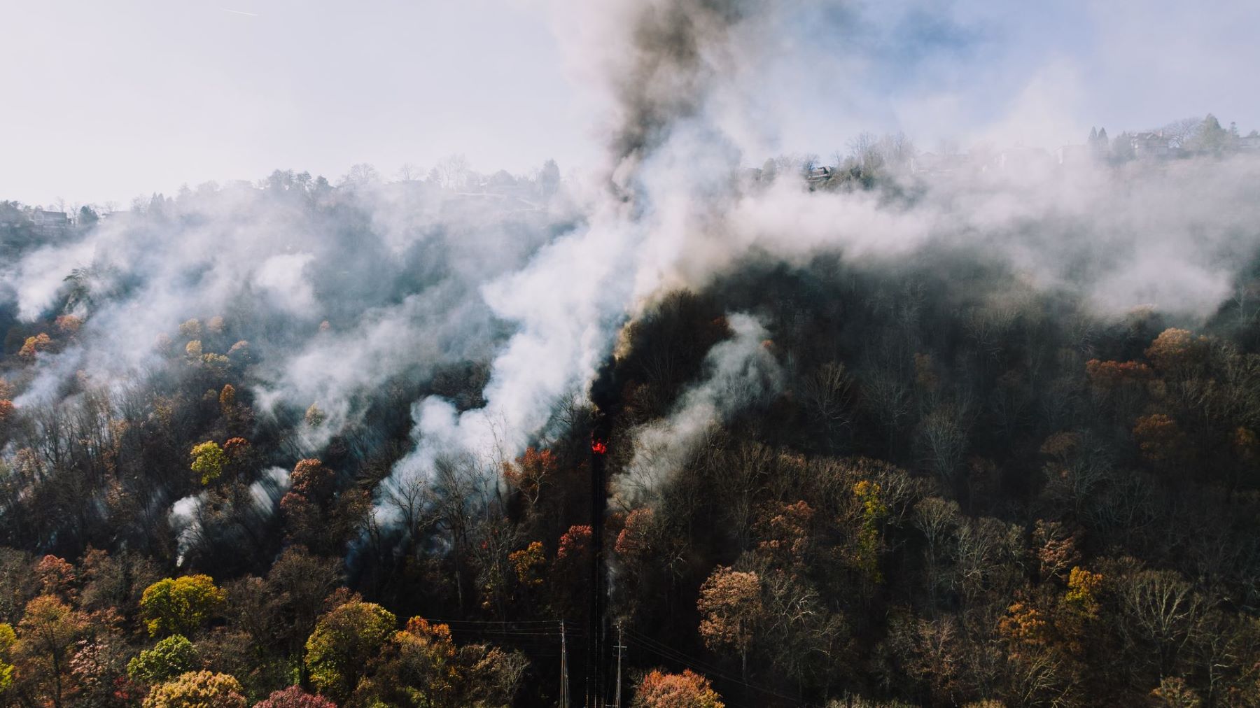 Incendio en la Sierra de Alcubierre amenaza a las aves forestales protegidas