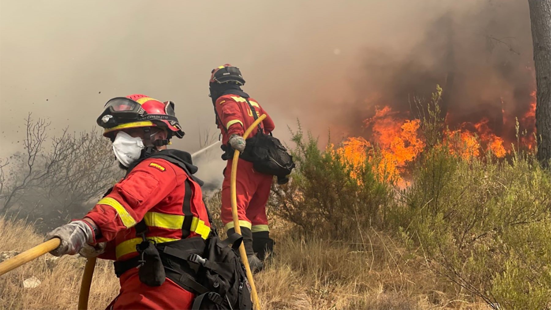 ECOticias.com - El Periódico Verde 33 La UME alerta de una campaña de incendios tan dura como la de 2025