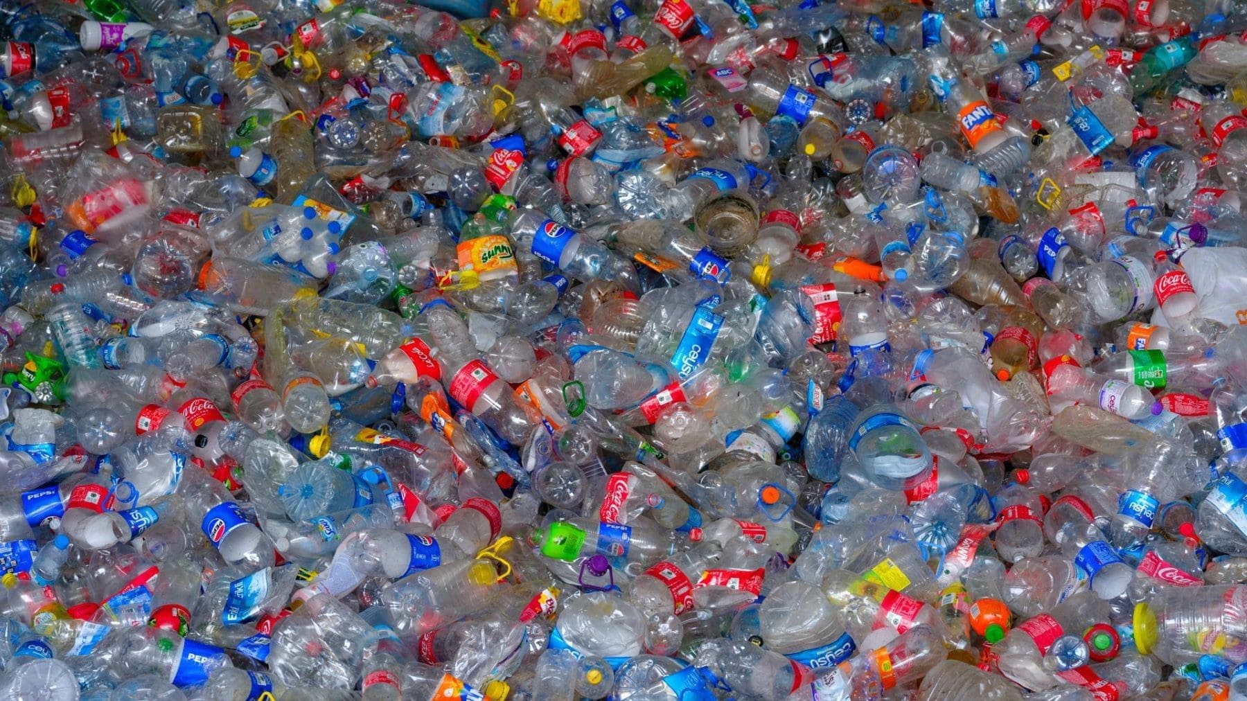 La Unión Europea fija nuevas normas para el plástico reciclado en botellas