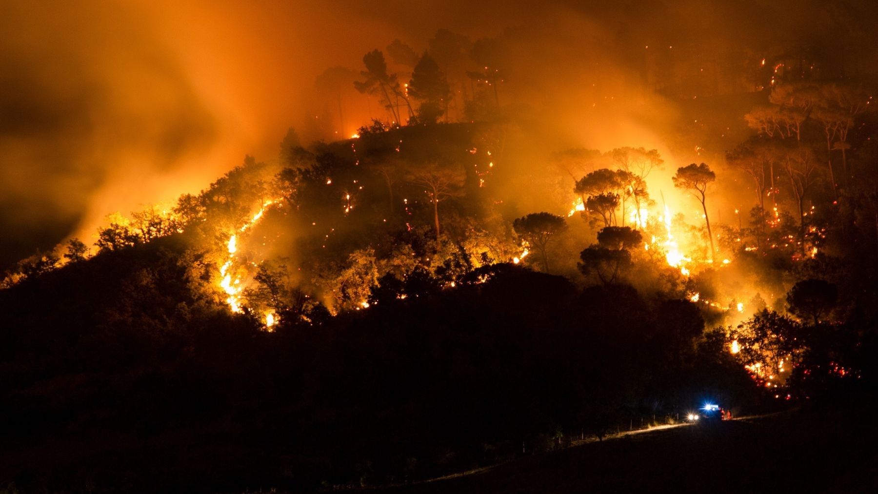 La UE refuerza la prevención de incendios forestales