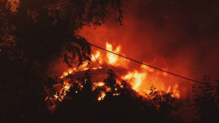 Greenpeace pide más prevención contra incendios forestales