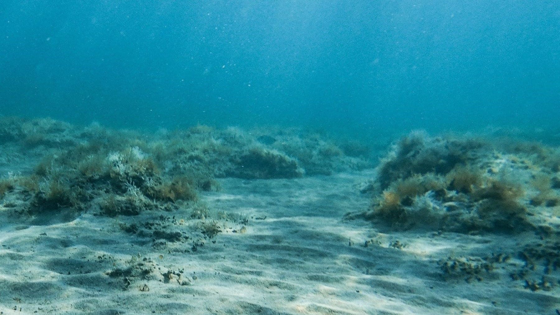 La Unión Europea afronta nuevas presiones para prohibir la minería en aguas profundas