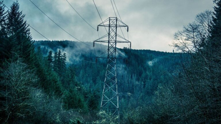 Ecologistas en Acción pide revisar las líneas eléctricas