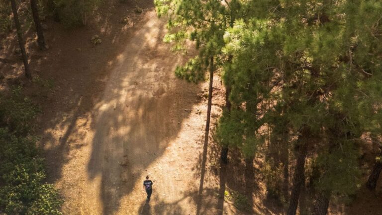 Día Mundial de los Agentes Forestales y Medioambientales 2026.