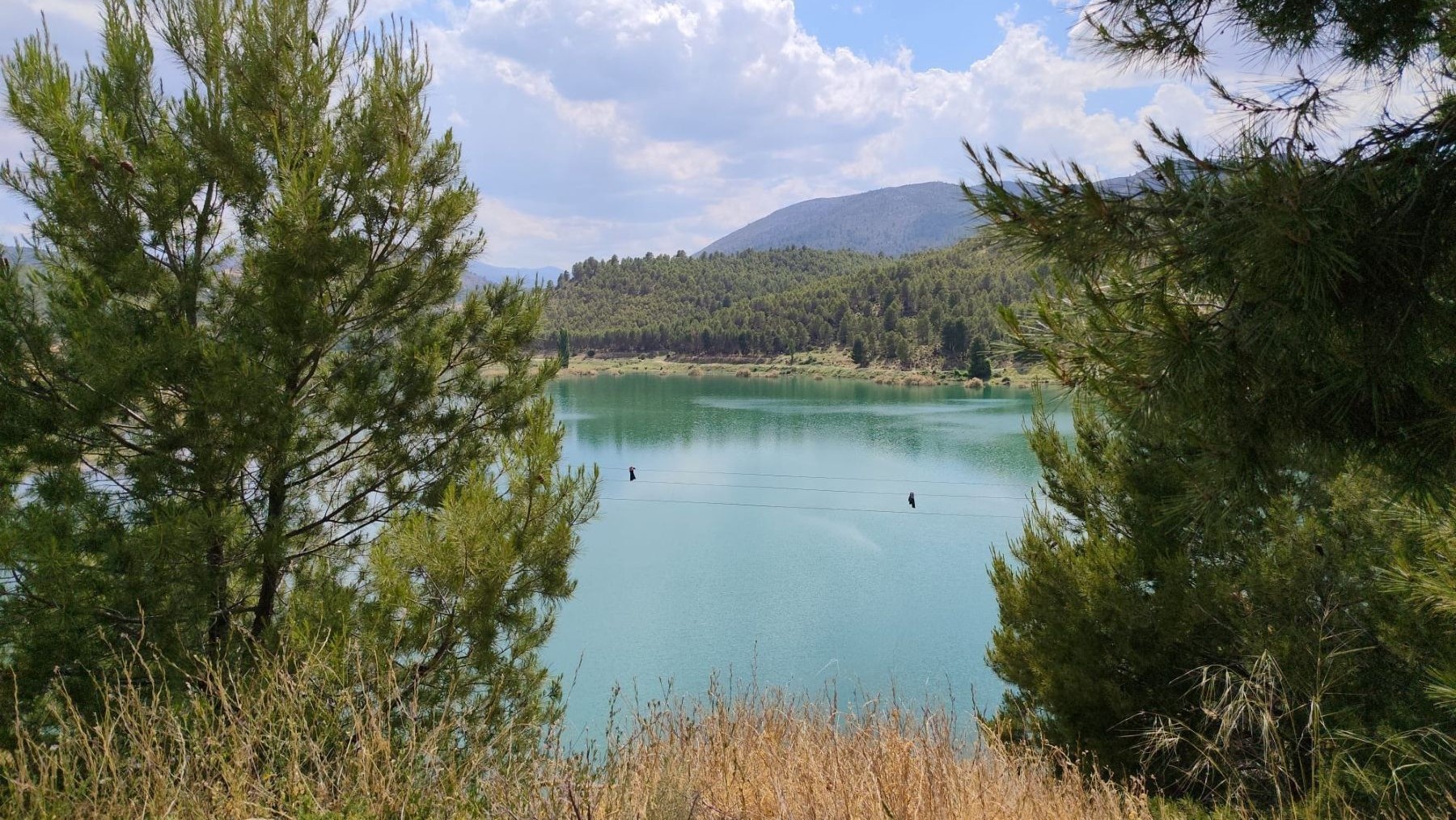Los embalses de España encadenan seis semanas de descenso del agua