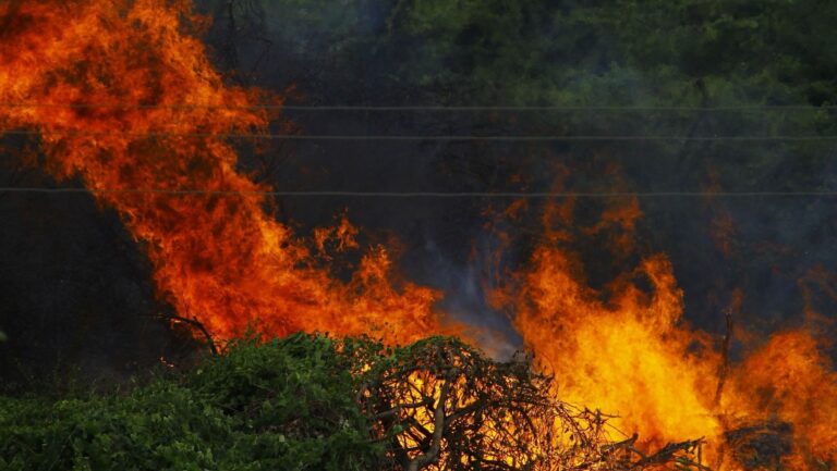 Los incendios forestales mantienen a España en máxima alerta este 29 de julio de 2026 con efectivos trabajando sobre un gran incendio.