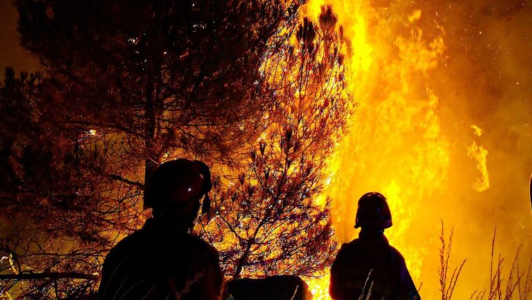 España necesita un pacto de Estado contra los incendios forestales