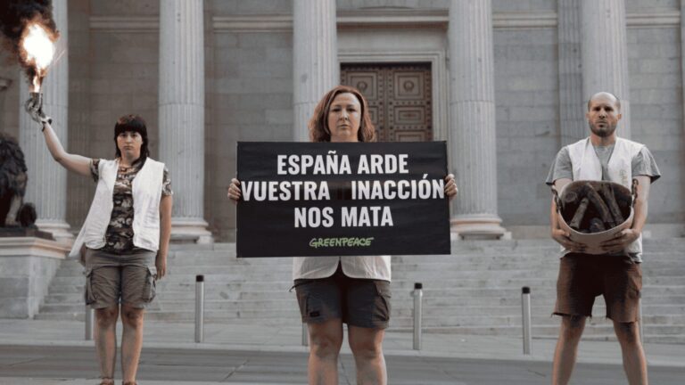 Greenpeace exige un pacto urgente frente a los incendios forestales