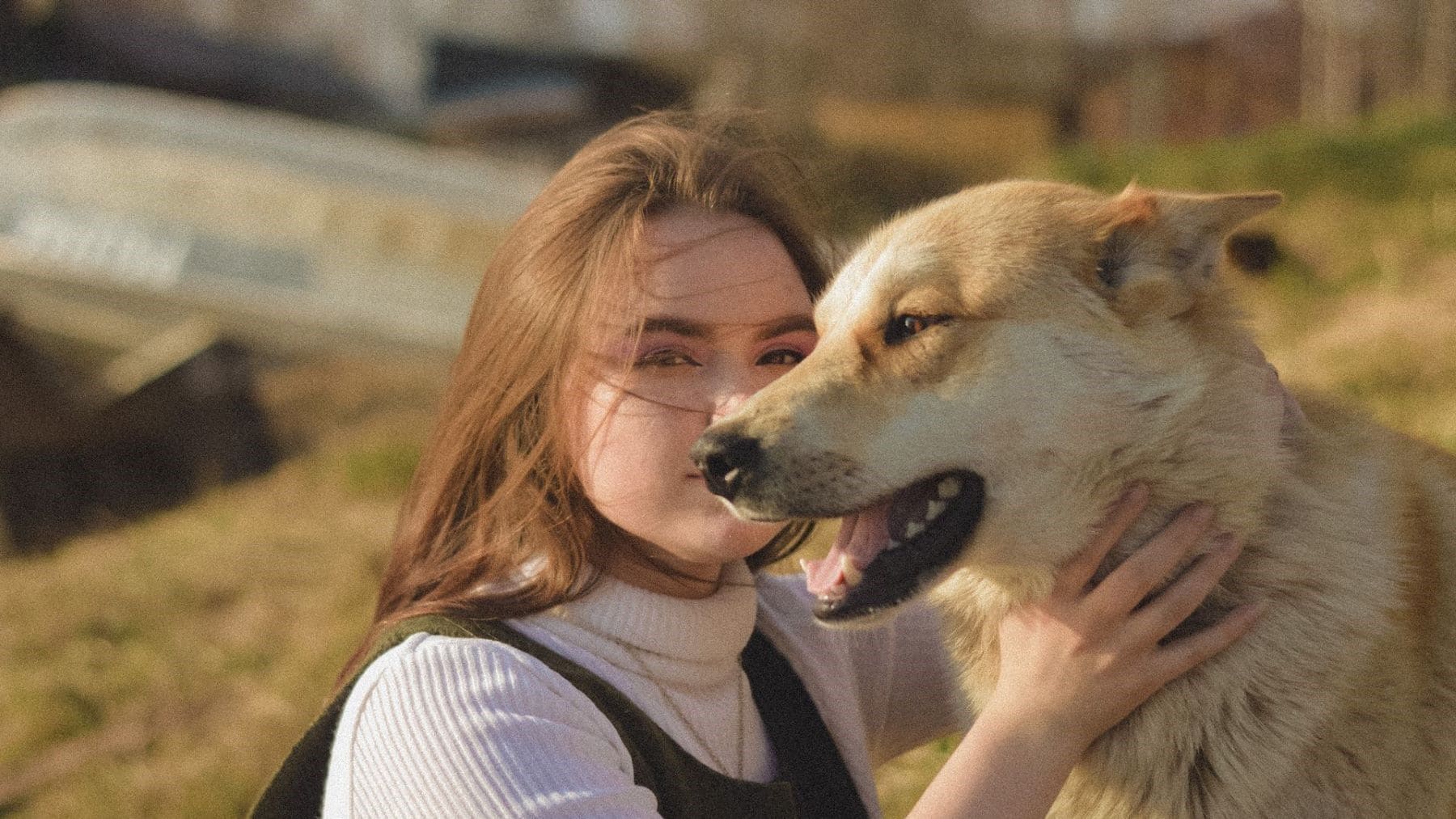 Una lengua sin maltrato propone cambiar las expresiones con animales para fomentar un lenguaje más respetuoso