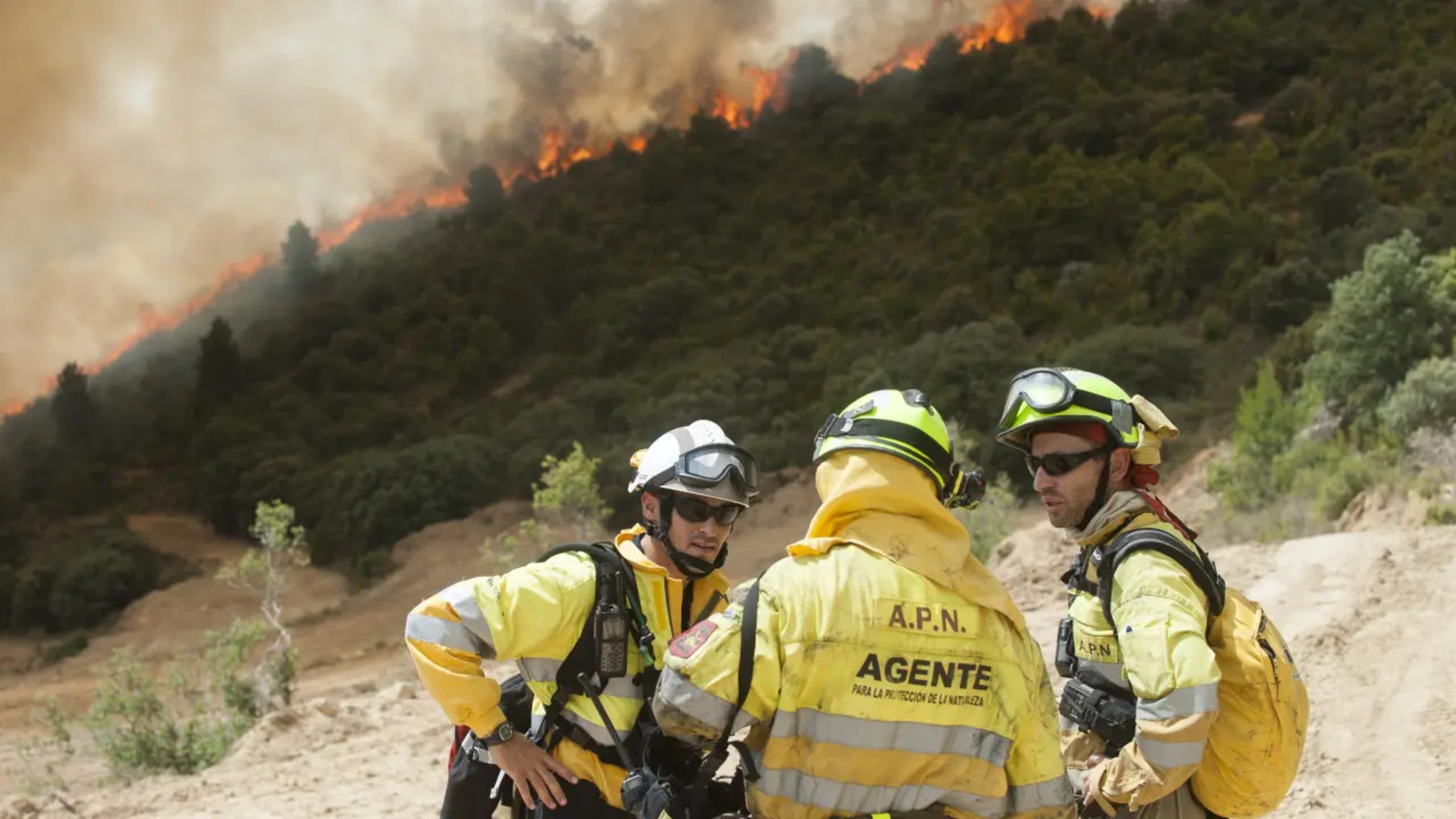 Aragón afronta los incendios forestales con falta de agentes ambientales