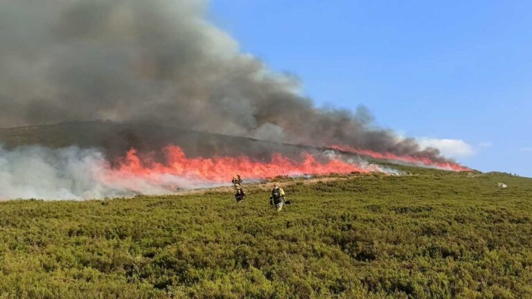 Cataluña exige planes de gestión forestal para frenar los grandes incendios