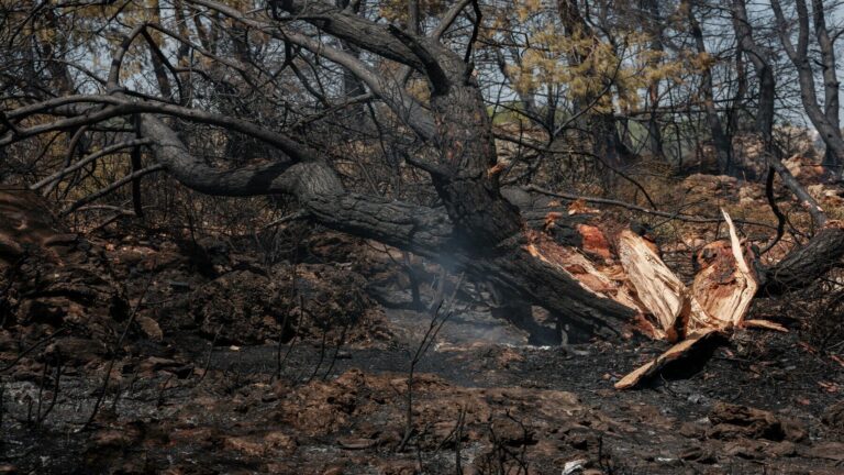 El fiscal alerta de que España se juega su futuro frente a los incendios