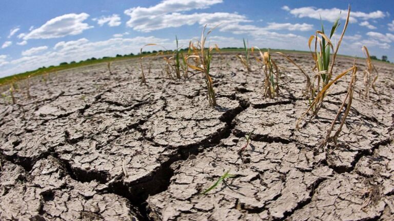 España crea un Panel Científico de Acción frente al Cambio Climático