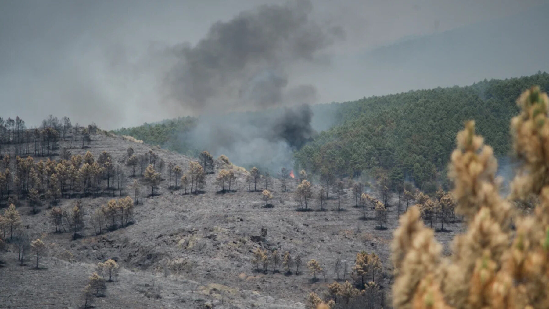 El incendio de La Mierla exige medios contra los incendios de sexta generación