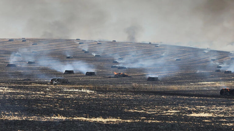España supera las 120.000 hectáreas quemadas en 2026 y afronta el peor verano de incendios de la Unión Europea