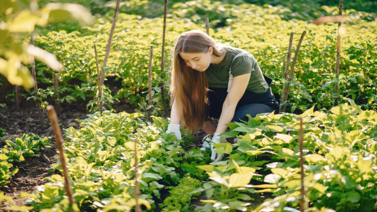 Los jóvenes impulsan el futuro de la agricultura ecológica en Europa durante la 3.ª edición de los Organics Europe Youth Days.
