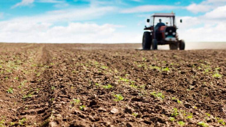 El PP denuncia el bloqueo de las ayudas ecológicas de la PAC en Asturias para agricultores y ganaderos.